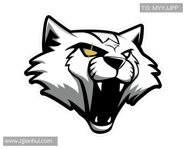 电竞数据揭秘吴丽成功之道探索CSGO背后的奋斗与坚持